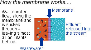 Membrane Illustration