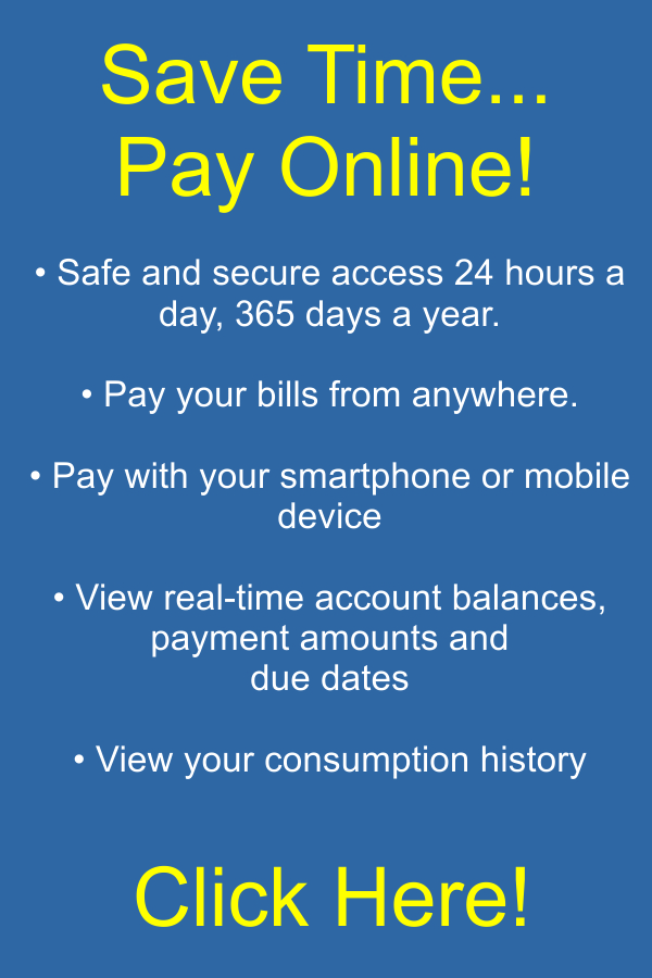 Pay Online